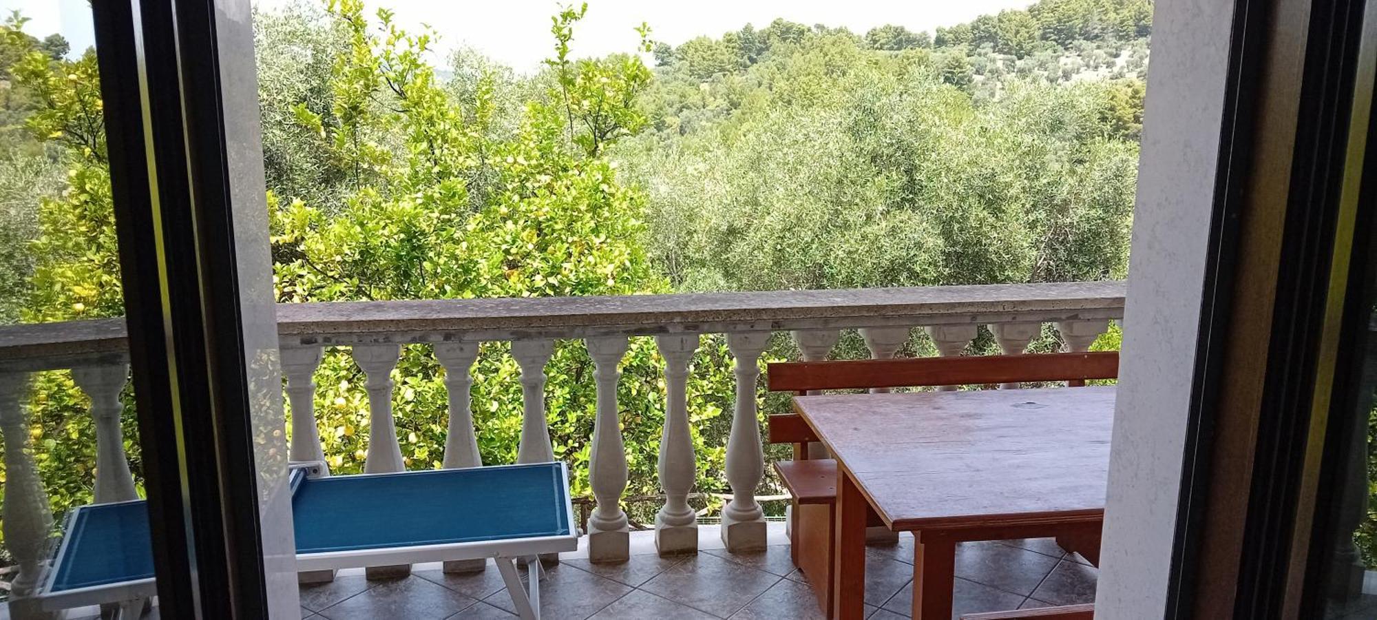 Agriturismo Valle Dei Gelsi Peschici Room photo